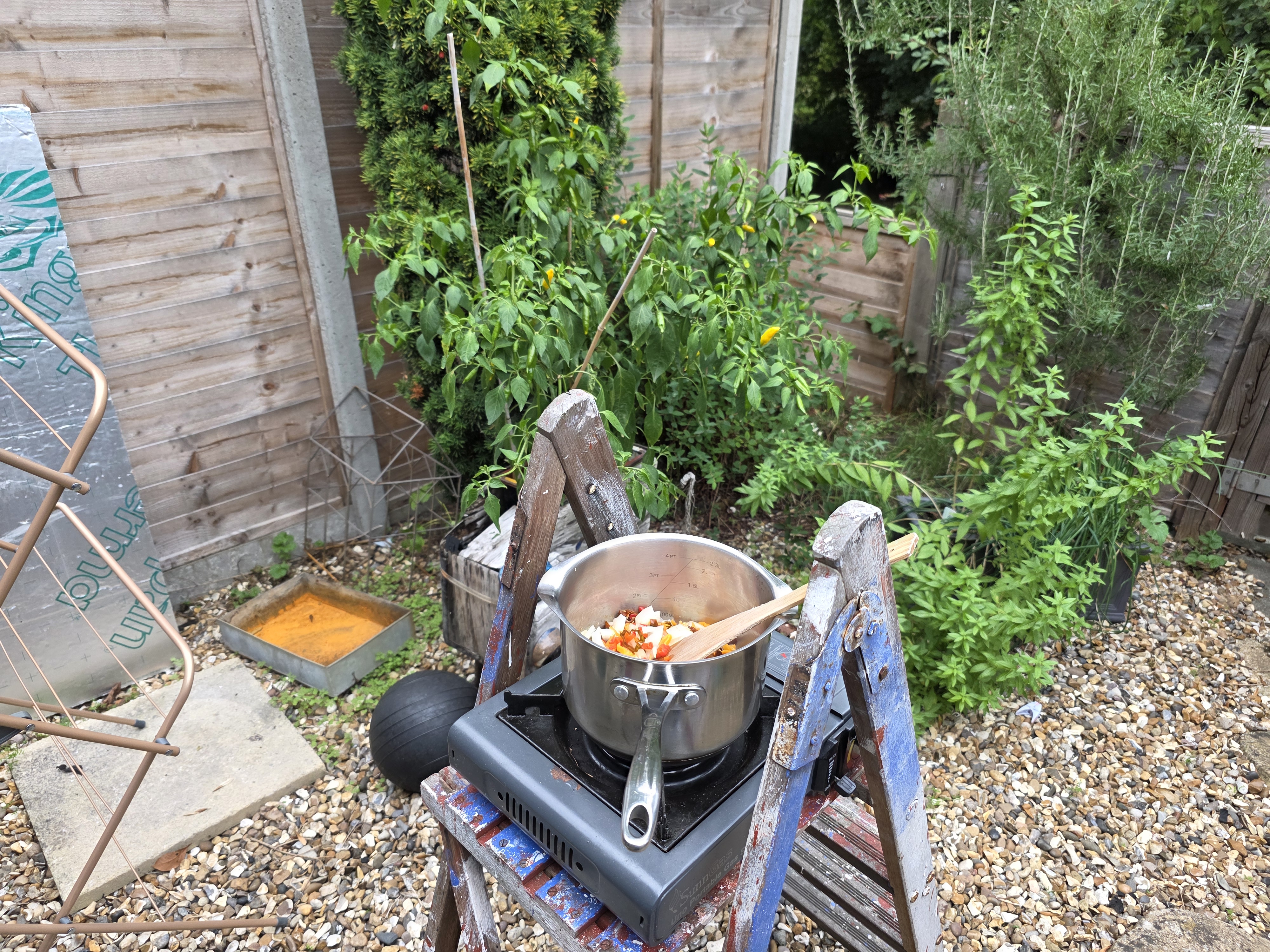 Frying the chillies, onion and garlic